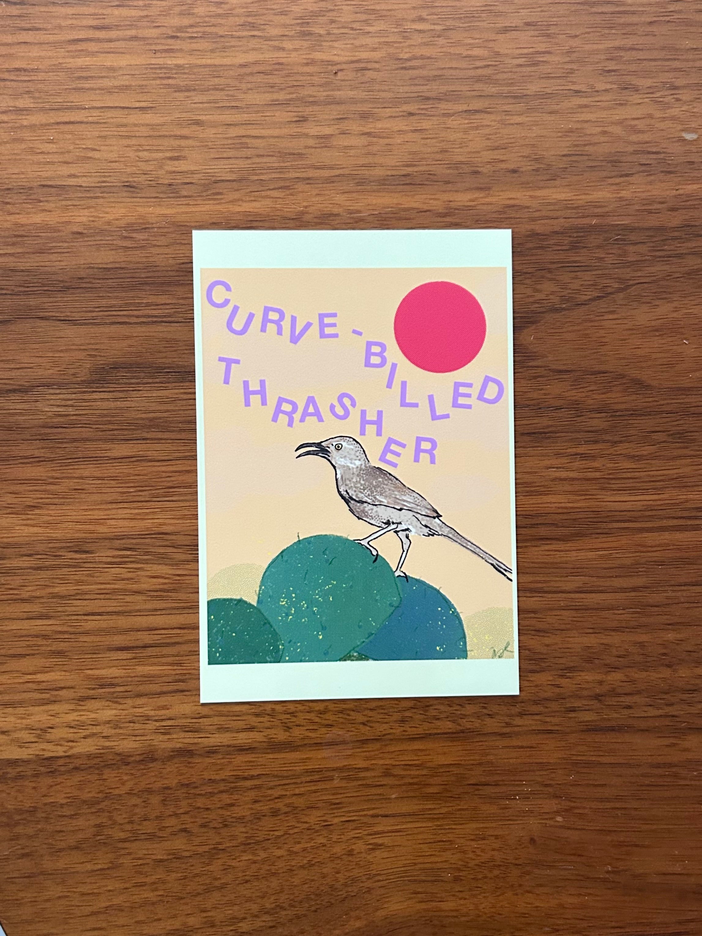 Backyard Birds Postcard – Art Over Order