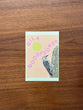 Backyard Birds Postcard